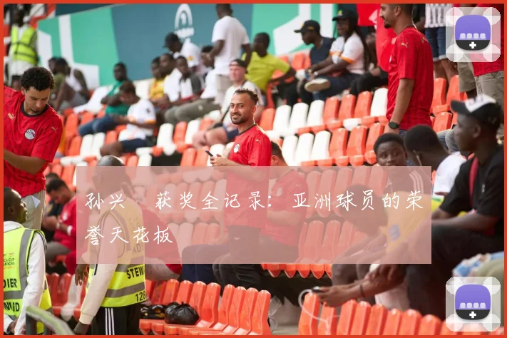 孙兴慜获奖全记录:亚洲球员的荣誉天花板