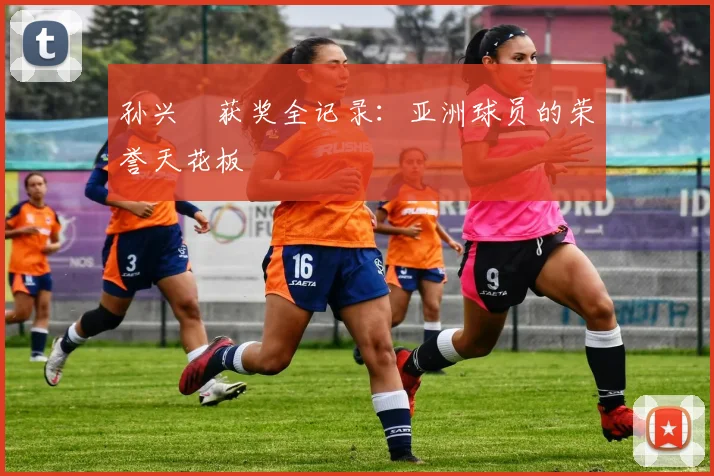 孙兴慜获奖全记录:亚洲球员的荣誉天花板