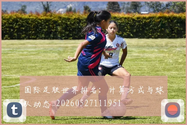 国际足联世界排名:计算方式与球队动态_20260527111951