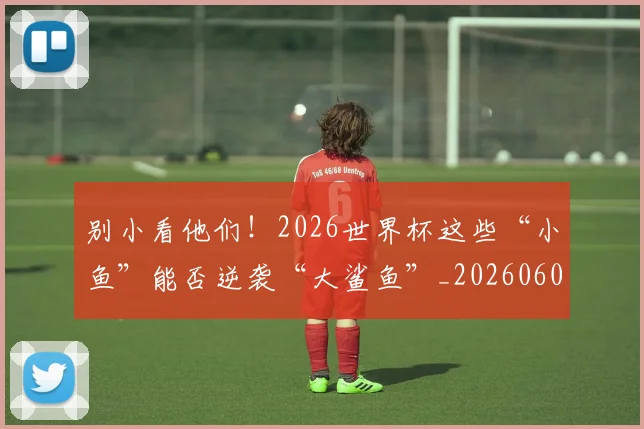 别小看他们!2026世界杯这些“小鱼”能否逆袭“大鲨鱼”_20260602212553_20260704173841